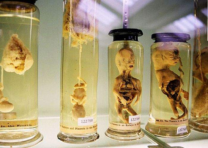Museum & Labs at KPC Medical College