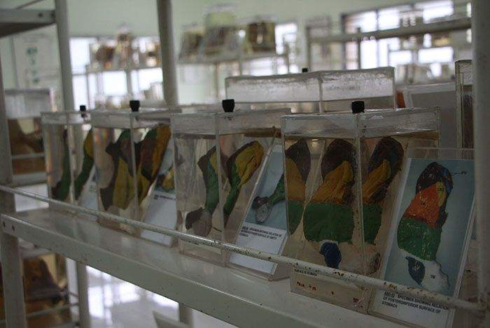 Museum & Labs at KPC Medical College