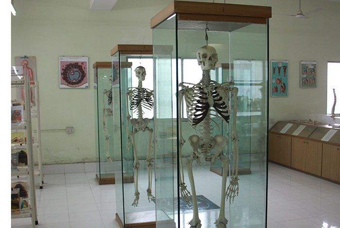 Museum & Labs at KPC Medical College