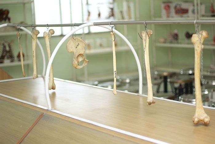 Museum & Labs at KPC Medical College