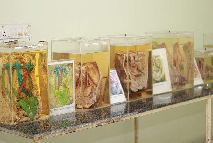 Museum & Labs at KPC Medical College